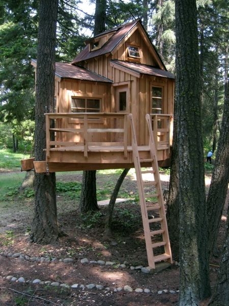 cabane dans les arbres