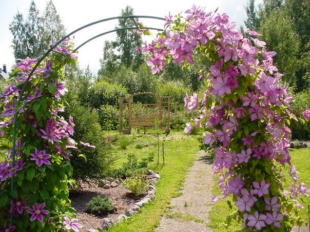 pergola de jardin