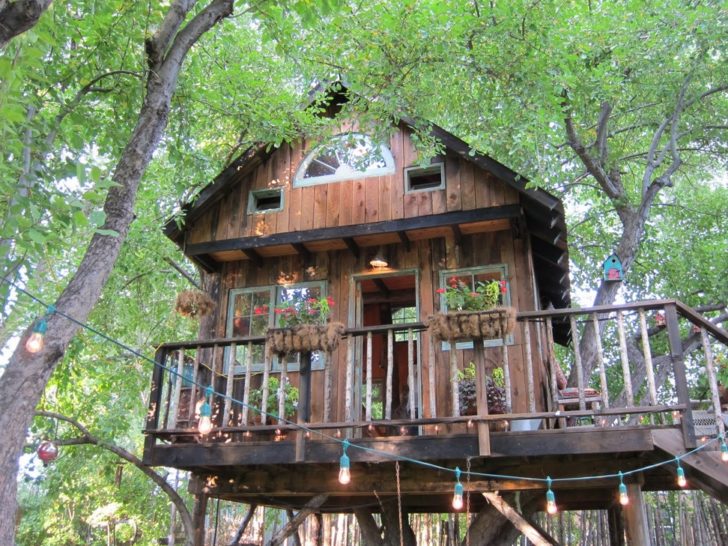 cabane dans les arbres