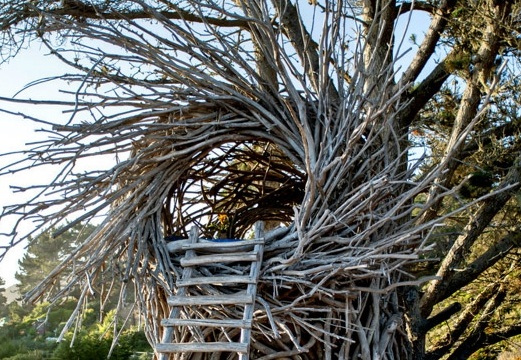 cabane dans les arbres