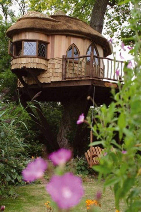 cabane dans les arbres