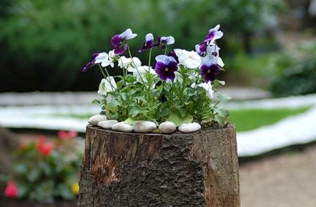 décor de jardin