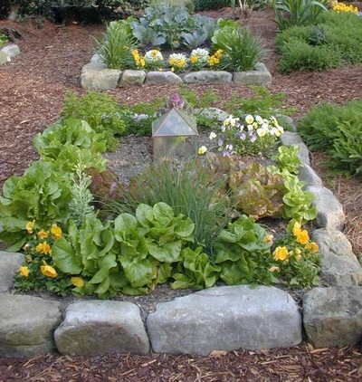 bordure de jardin