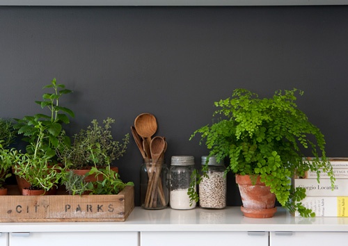 fleurs pour la cuisine