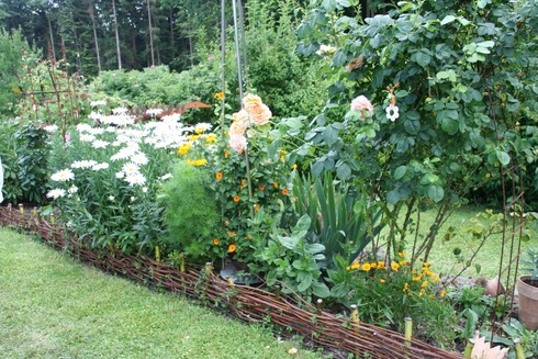 bordure de jardin