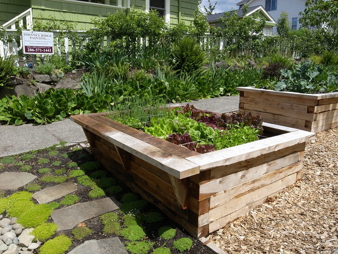 bordure de jardin