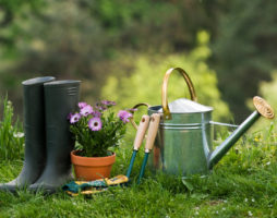 Liste des outils de jardin pour le jardin