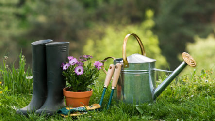 Liste des outils de jardin pour le jardin