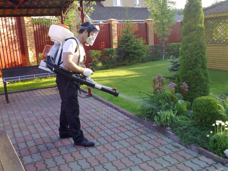  conifères pour le jardin