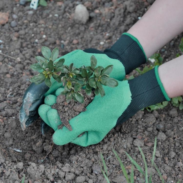 outils de jardinage