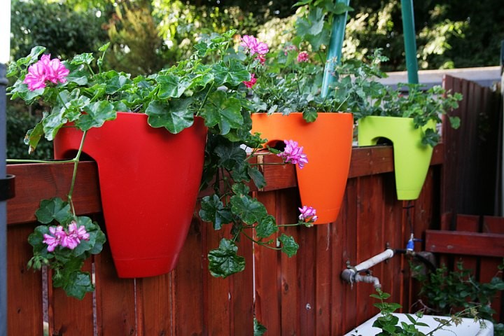 pots de fleurs en plein air