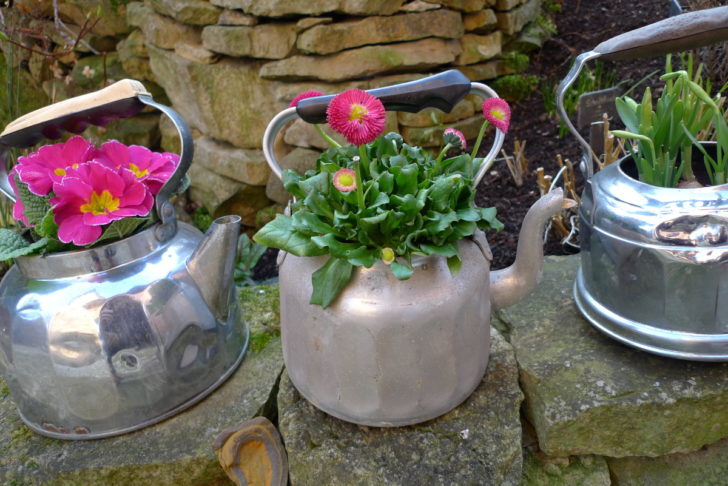 pots de fleurs en plein air