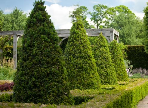  conifères pour le jardin