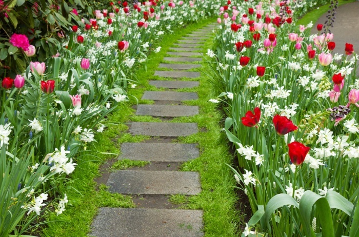 fleurs de jardin de printemps