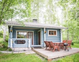 Petite maison pour une résidence d'été: intérieur, design, aménagement