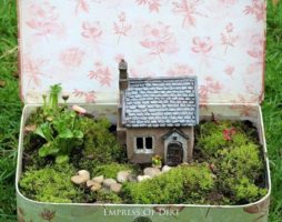 Mini jardin à faire soi-même dans un pot avec photo