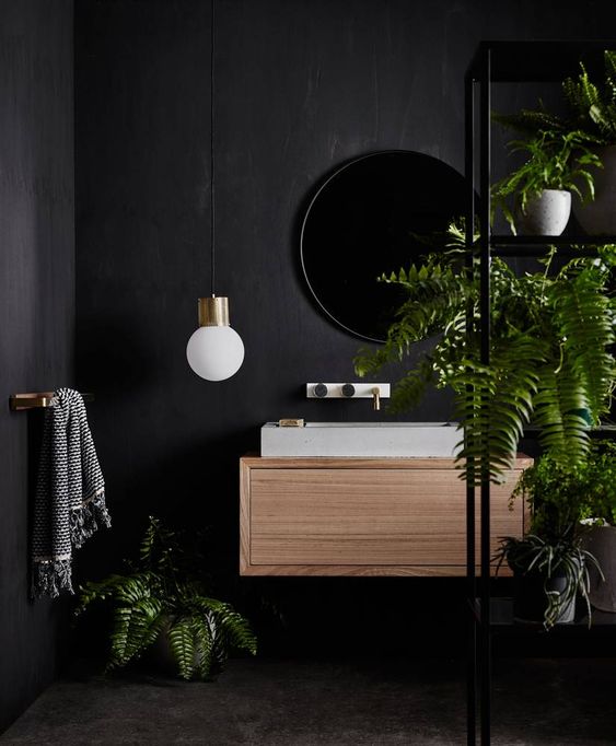  salle de bain aux couleurs sombres