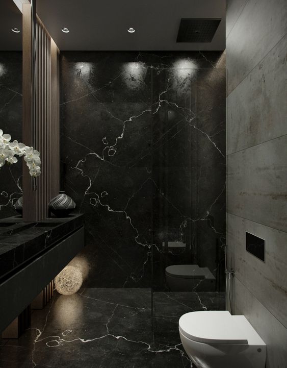  salle de bain aux couleurs sombres